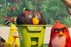 Angry Birds 2 (2019) - Van Orman, Rice - Recensione | ASBURY MOVIES