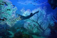 Avatar - La via dell'acqua, una suggestiva sequenza del film di James Cameron