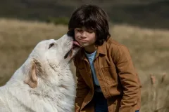 Belle & Sebastien - Next Generation, Robinson Mensah-Rouanet col cane Belle in una scena del film