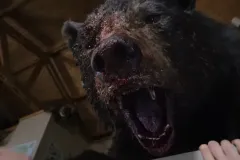Cocainorso, l'orso assassino in una foto del film di Elizabeth Banks