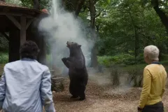 Cocainorso, Alden Ehrenreich, Aaron Holliday e l'orso in una sequenza del film