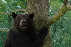 Cocainorso, una minacciosa immagine dell'orso nel film di Elizabeth Banks