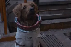 Guardiani della Galassia Vol. 3, il cane Cosmo in una scena del film