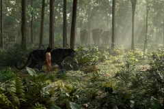 Il libro della giungla (2016) Jon Favreau - Recensione | ASBURY MOVIES