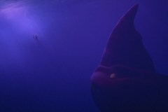 Il mostro dei mari, un'affascinante sequenza del film d'animazione Netflix
