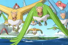 Il ragazzo e l'airone, i pappagalli in volo nel film di Hayao Miyazaki
