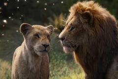 Il re leone (2019) - Jon Favreau - Recensione | ASBURY MOVIES