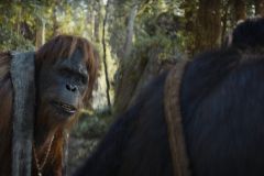 Il regno del pianeta delle scimmie, un'immagine tratta dal film