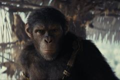 Il regno del pianeta delle scimmie, un'immagine del film