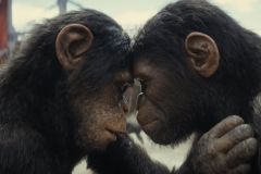 Il regno del pianeta delle scimmie, una scena del film