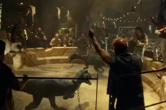 Jurassic World - Il dominio, un combattimento tra dinosauri in una scena del film