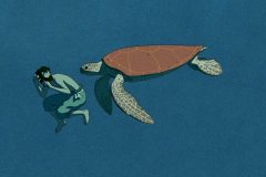 La tartaruga rossa (2016) - M. D. de Wit - Recensione | Asbury Movies