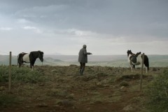 Storie di cavalli e di uomini (2013) - Recensione | ASBURY MOVIES