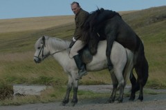 Storie di cavalli e di uomini (2013) - Recensione | ASBURY MOVIES