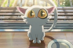 Suzume, il simpatico gatto/chiave in una scena del film di Makoto Shinkai