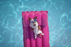 Tappo - Cucciolo in un mare di guai (2019) - Recensione | Asbury Movies
