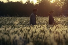 The Wheat, una scena del film di Tang Yu-Qiang