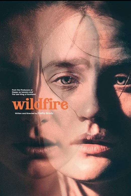 Wildfire (2020) poster locandina