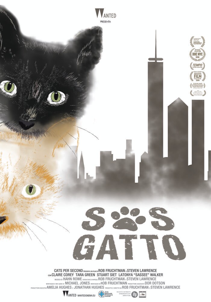 S.O.S. gatto poster locandina