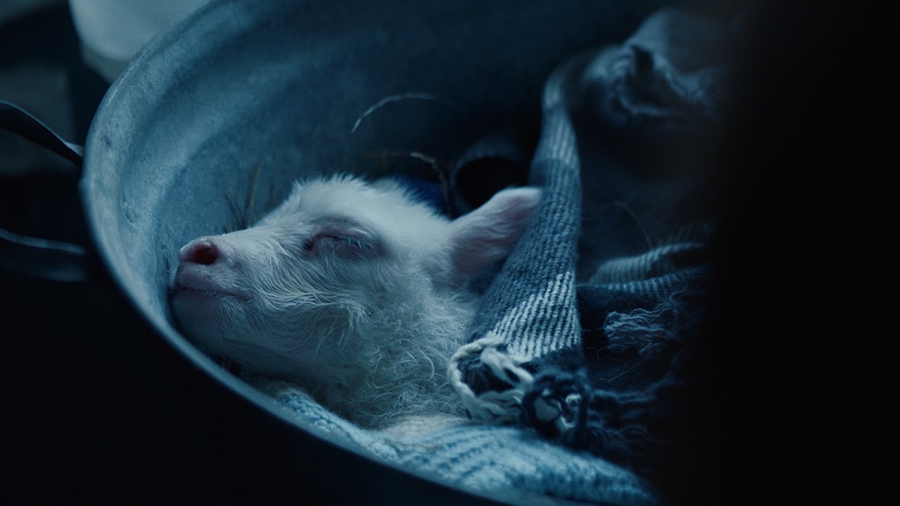 Lamb, il piccolo ibrido Ada, in una scena del film