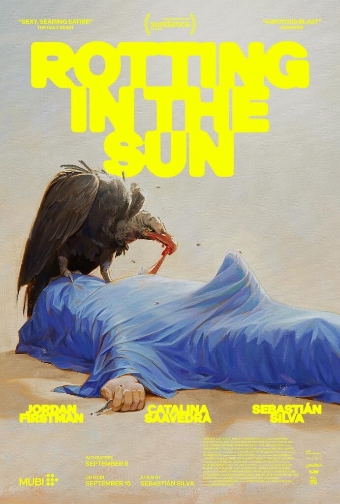 Rotting in the Sun, la locandina del film di Sebastián Silva