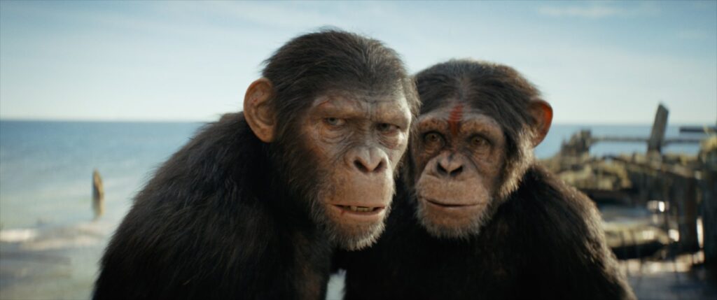 Il regno del pianeta delle scimmie, una foto tratta dal film